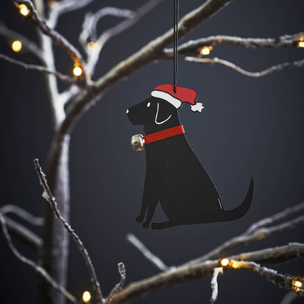Christmas present inspiration for Dog Lovers