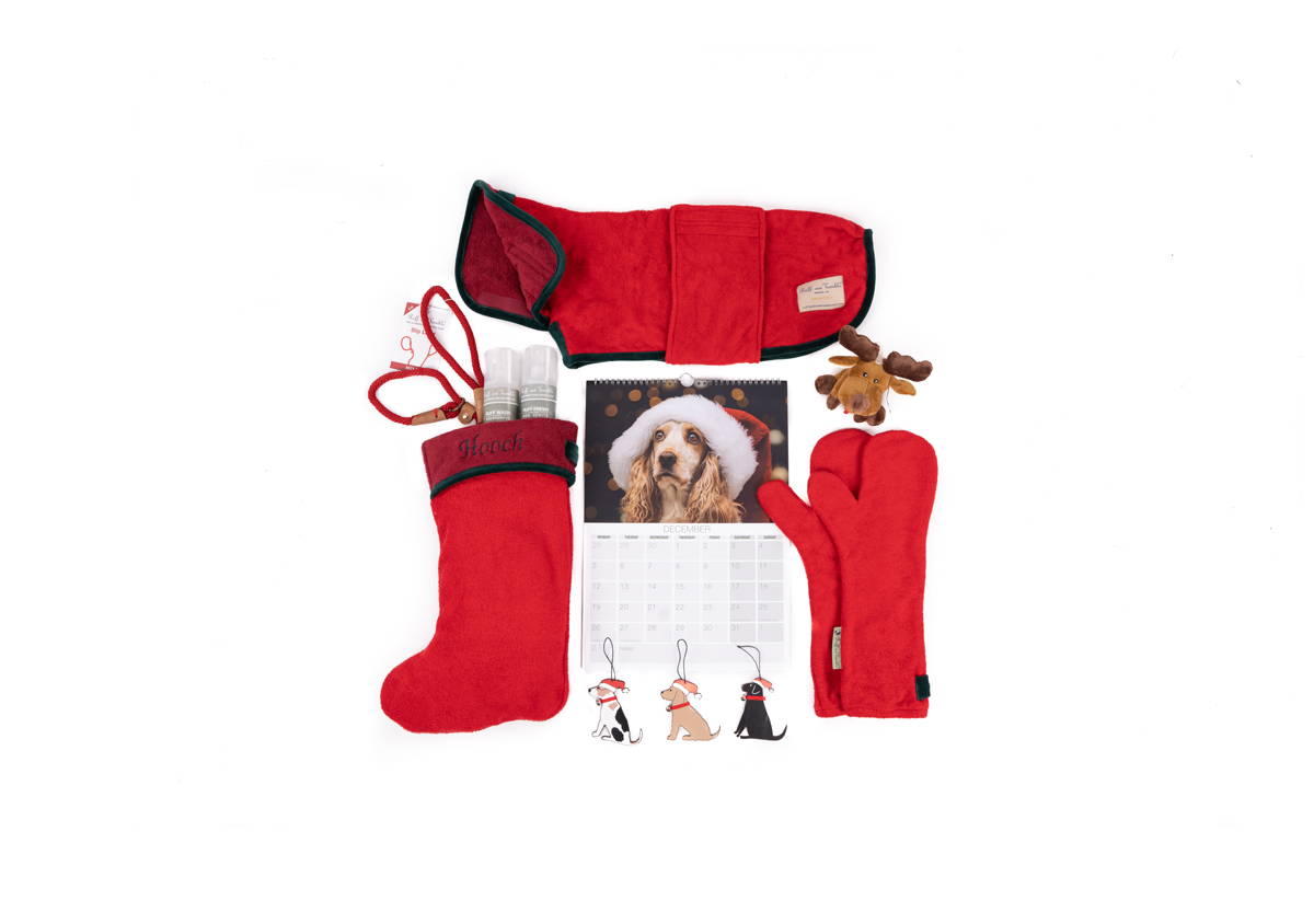 Cracking Christmas Gift ideas for your dog!