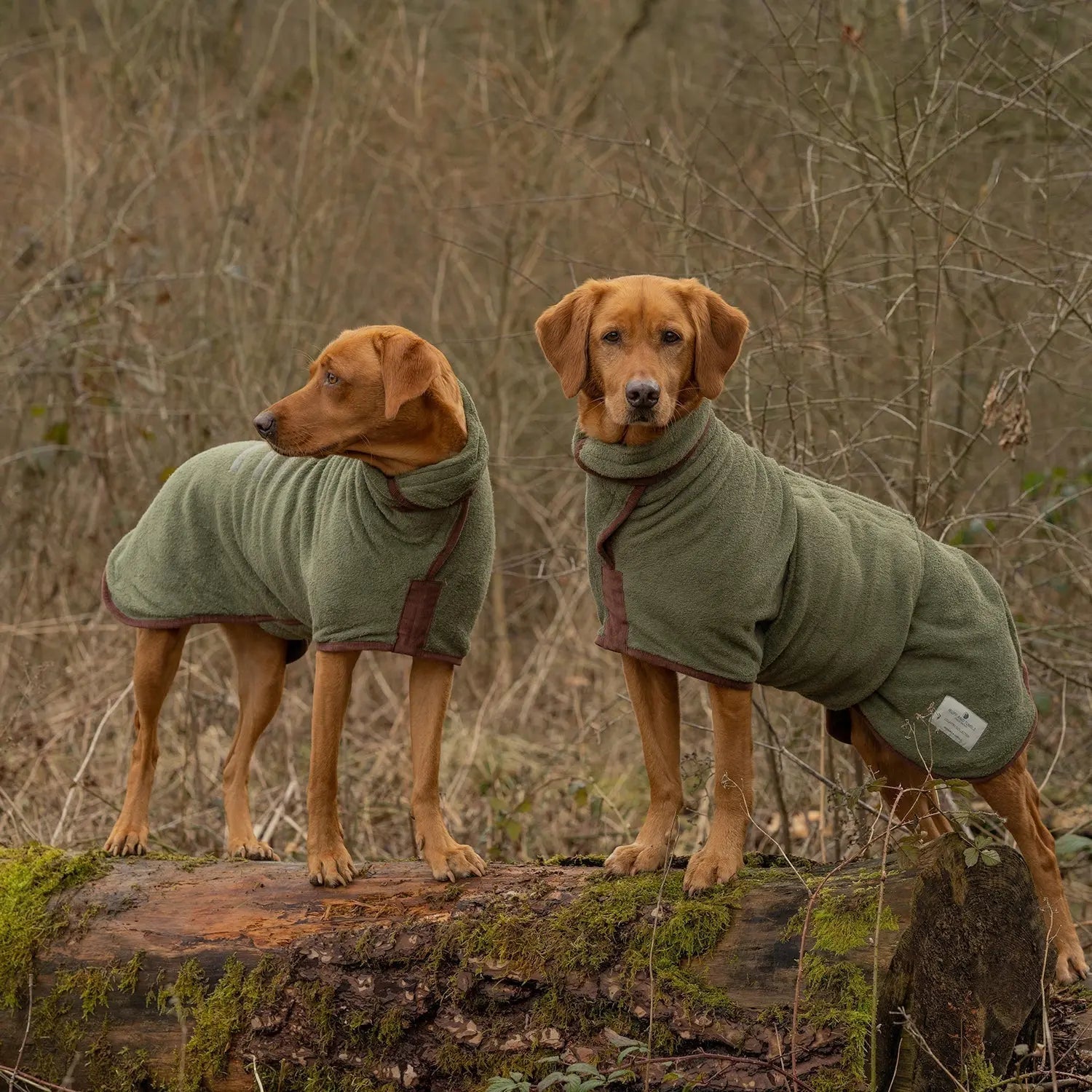 Why Cotton Always Wins - Ruff and Tumble