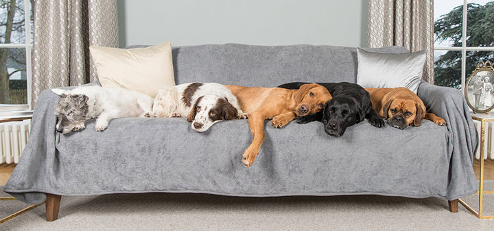 Dog Blanket For Sofa Double Thickness