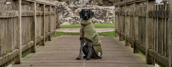 Dog Drying Coats