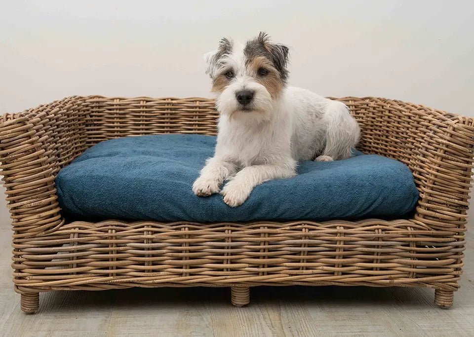 Bed-Covers Ruff and Tumble
