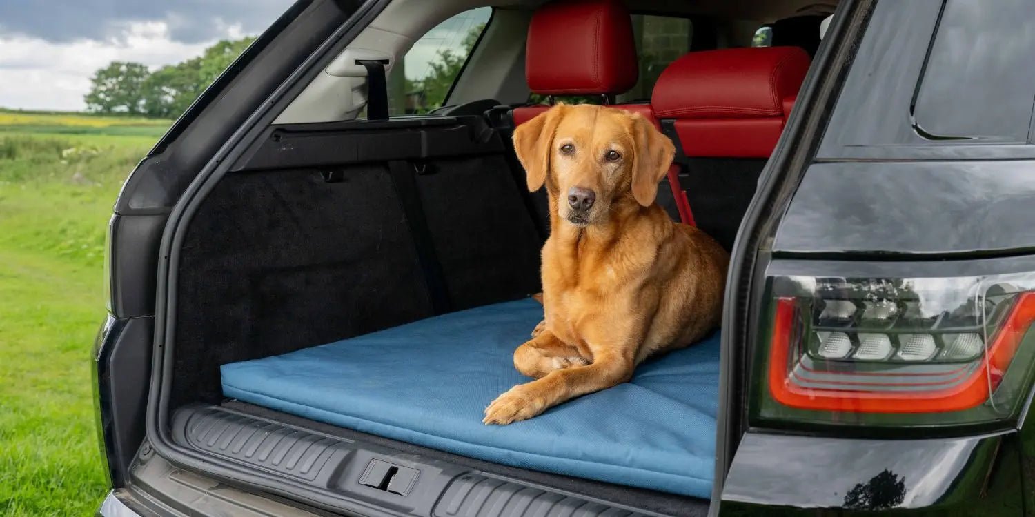 Crate Mats - Ruff and Tumble