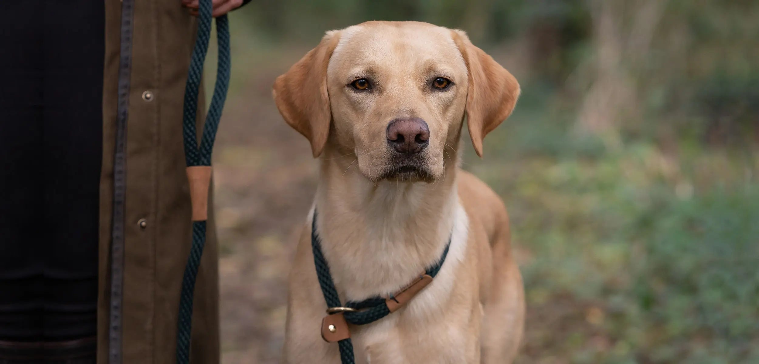 Dog Leads - Ruff and Tumble