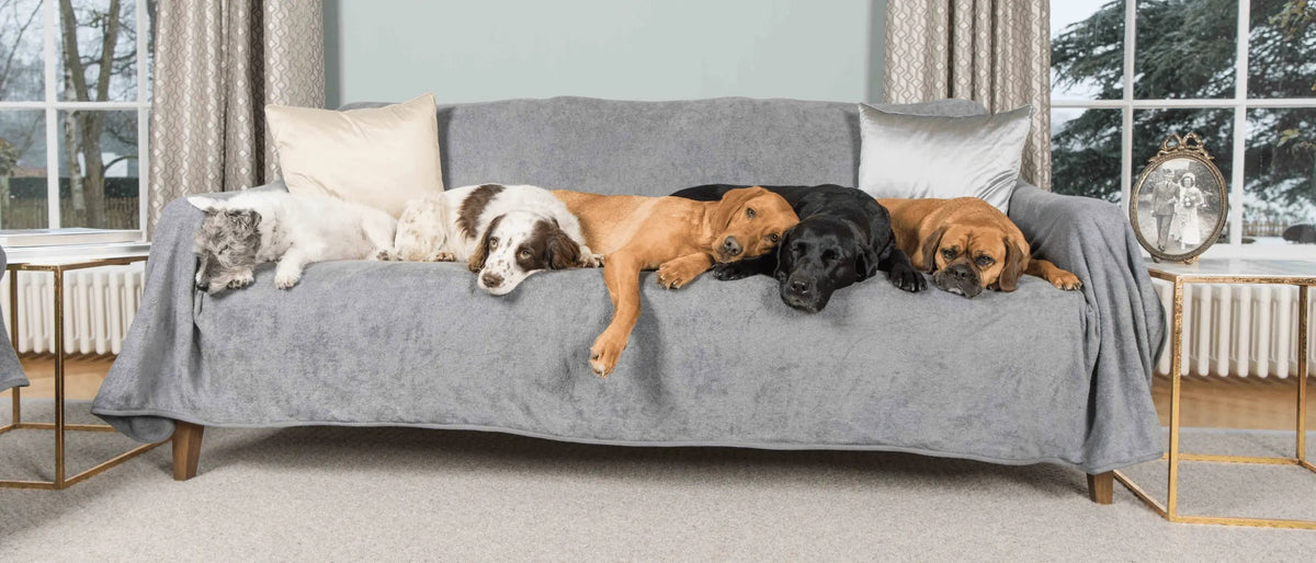 Spring Sale - Ruff and Tumble