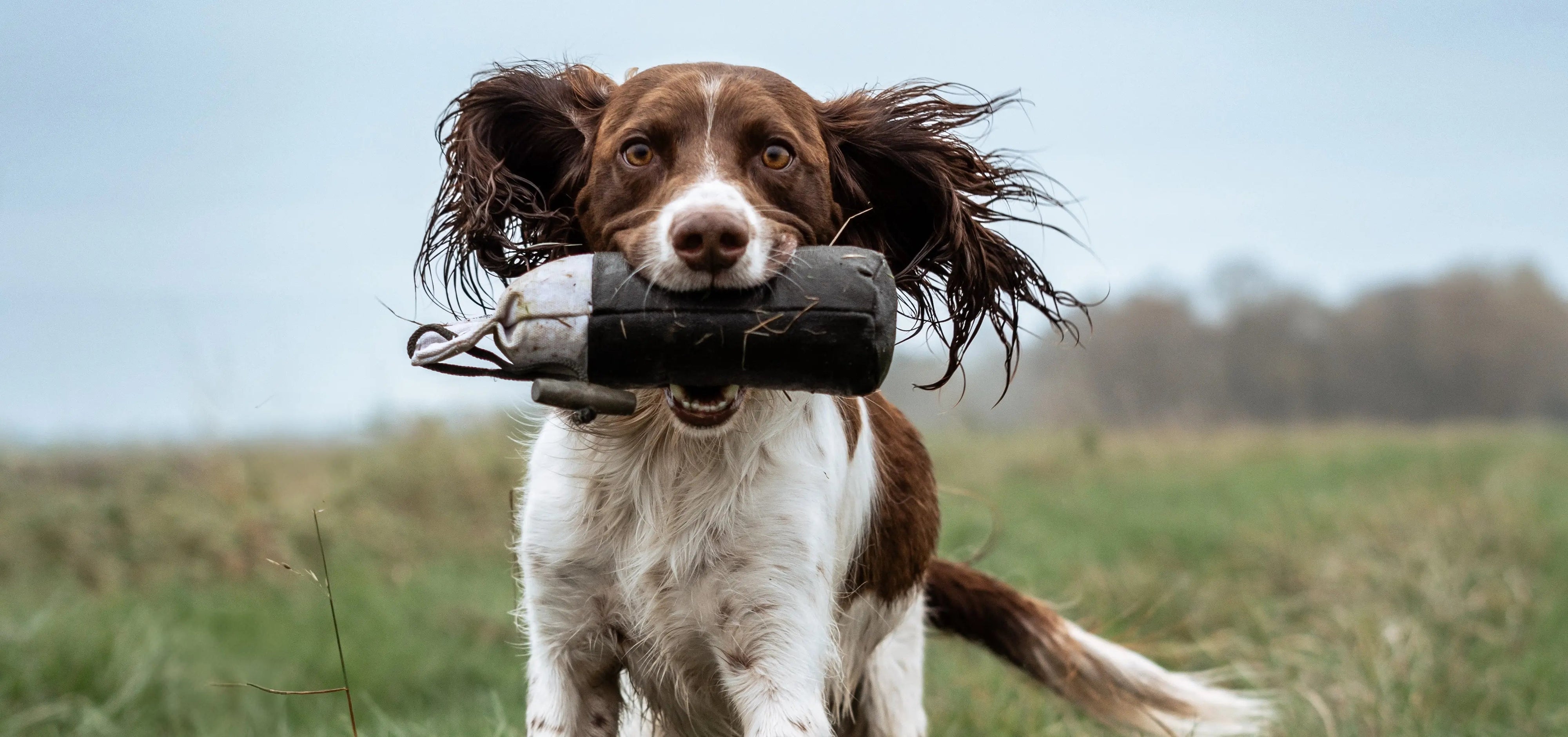 Toys & Treats - Ruff and Tumble