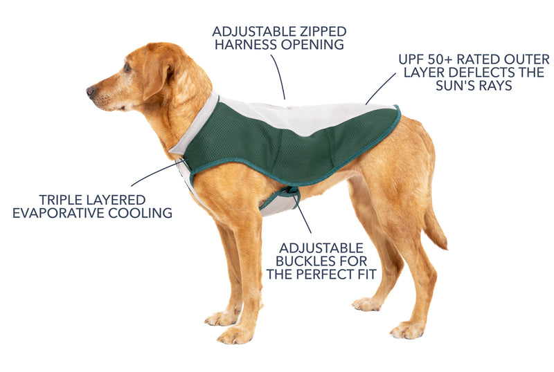 Dog Cooling Coat