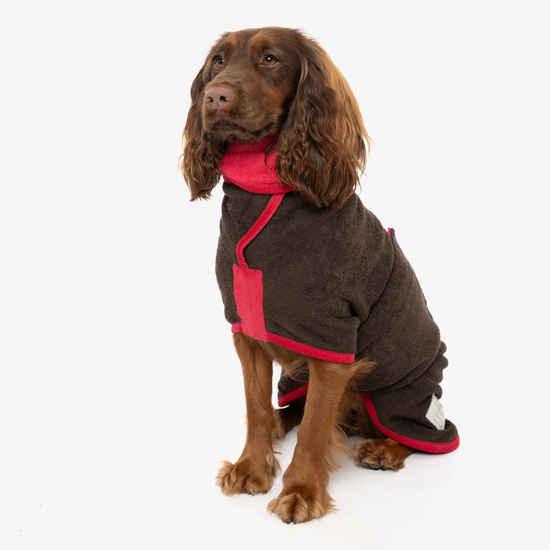 Limited Edition Dog Drying Coat - Dark Chocolate and Raspberry