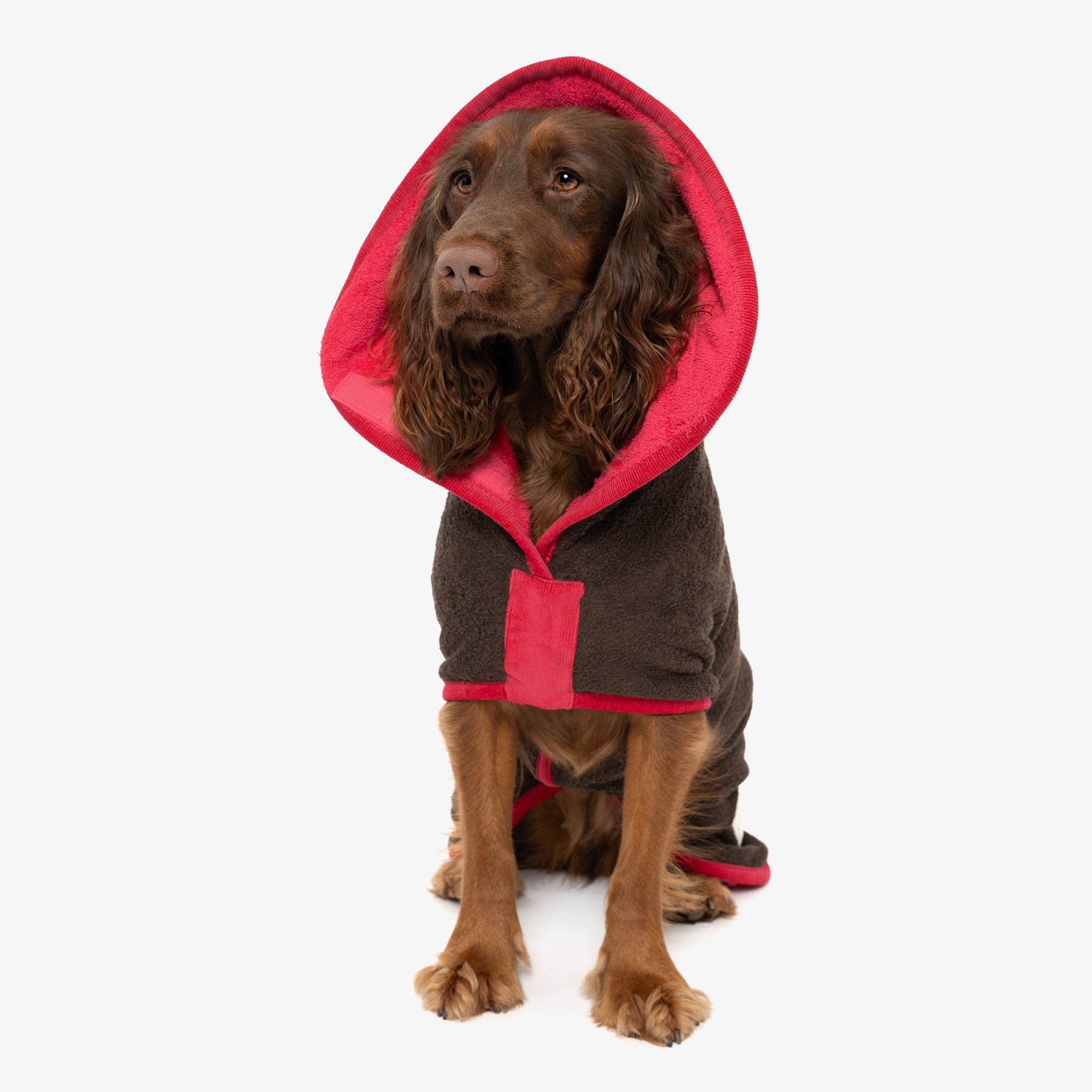 Dark Chocolate and Raspberry Limited Edition Dog Drying Coats From Ruff and Tumble