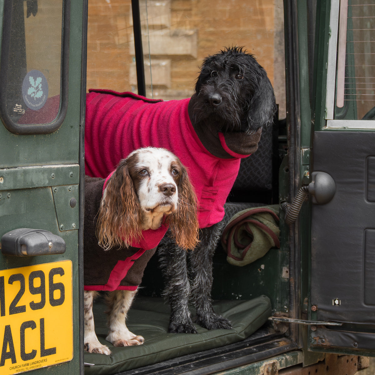 Limited Edition Dog Drying Coat - Dark Chocolate and Raspberry