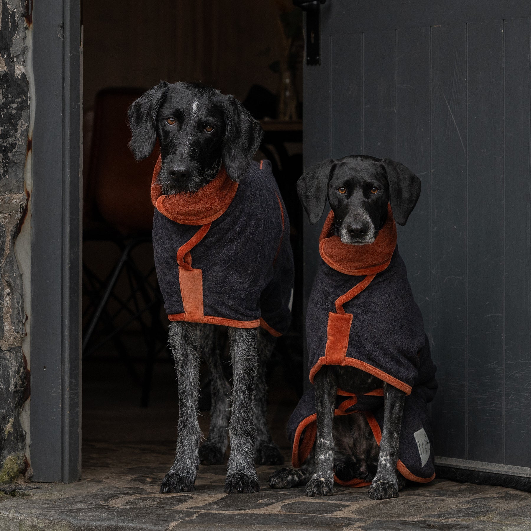 Gingerbread and Ivy Christmas Limited Edition Dog Drying Coats From