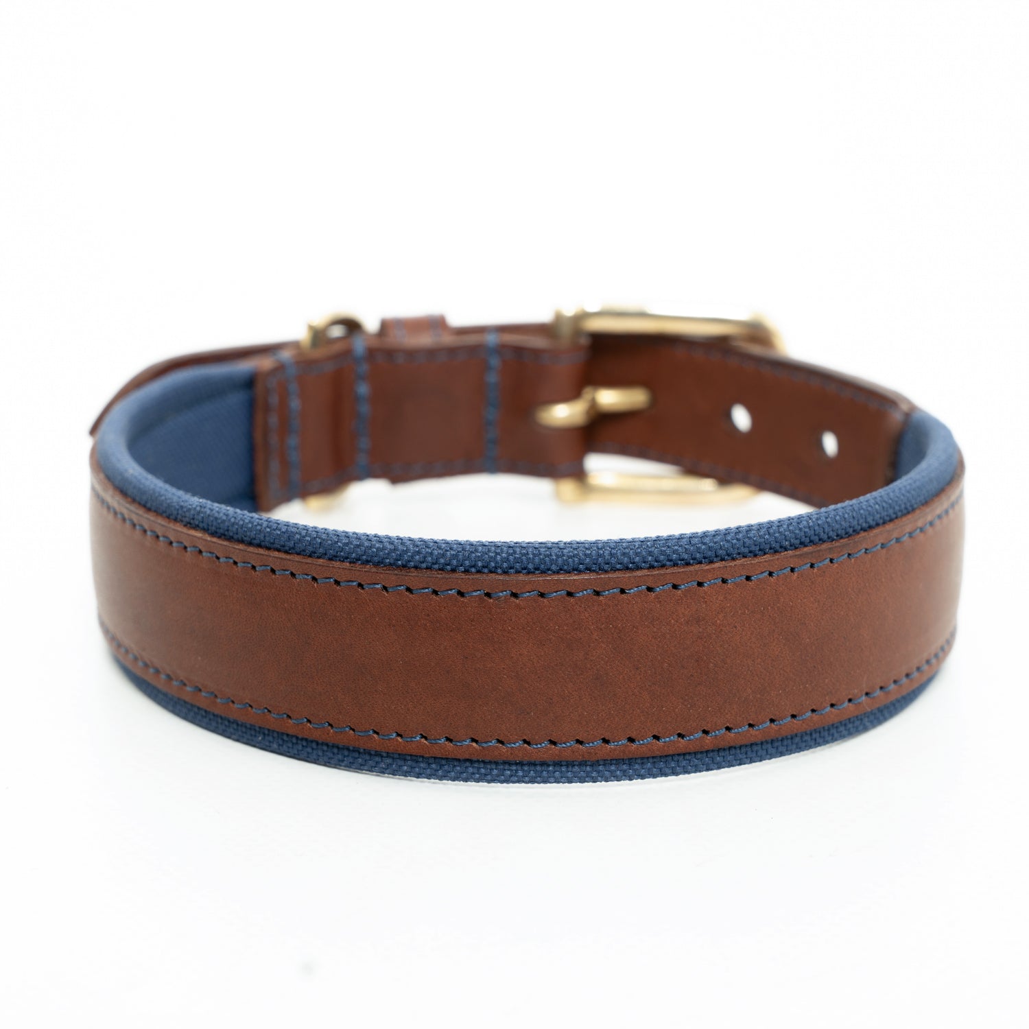 Morston Padded Leather Collar - Navy