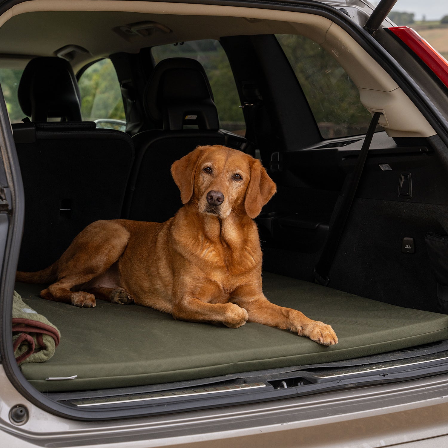 Crate Mat / Boot Bed - Olive