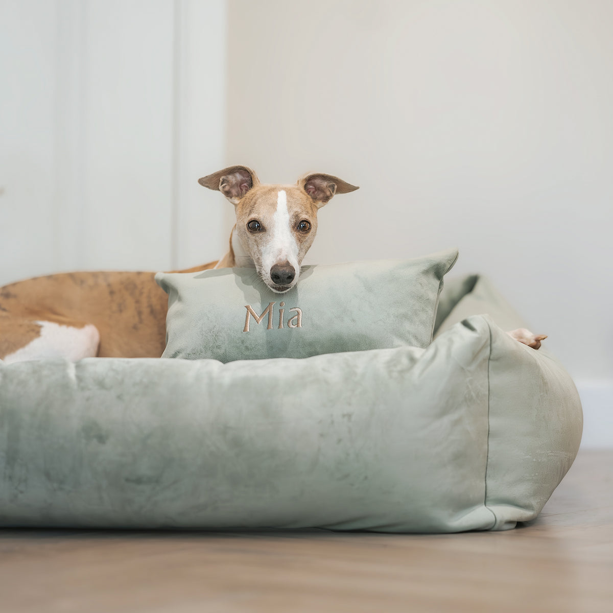 Velvet Burnham Bolster Dog Bed - Pistachio