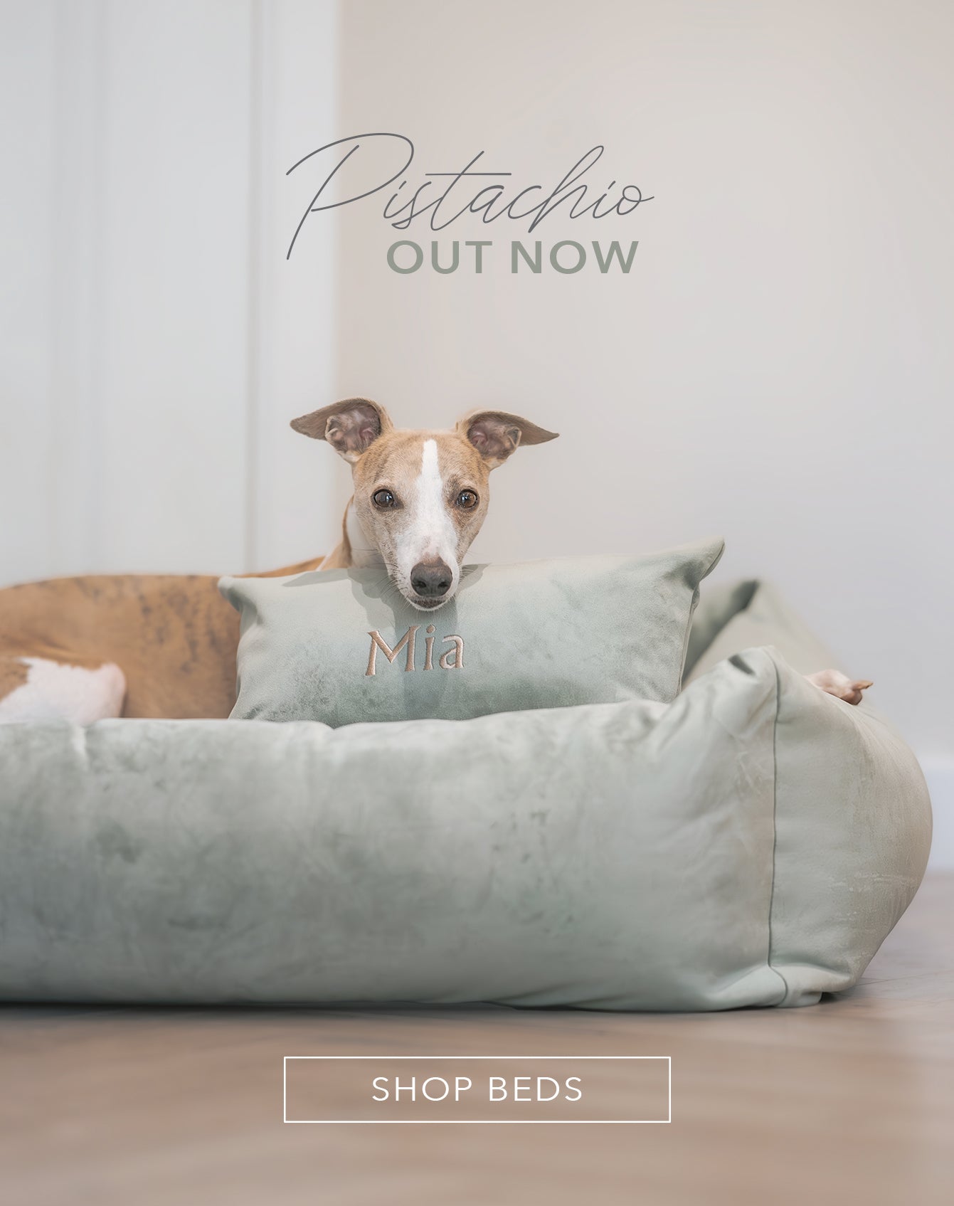 The Morston Collection