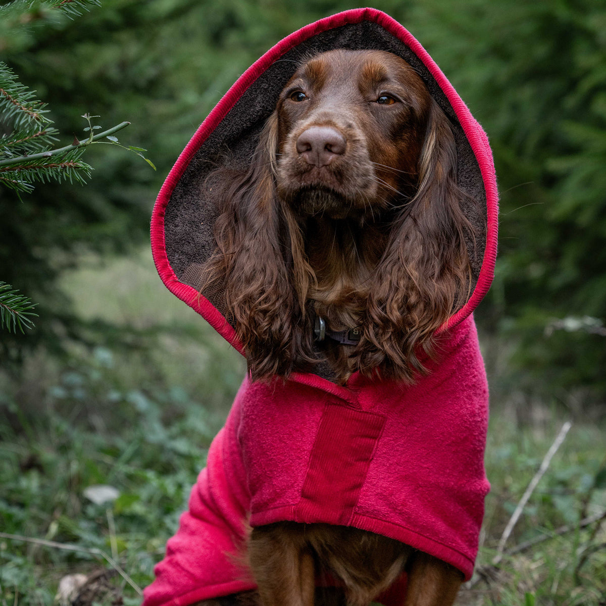 Limited Edition Dog Drying Coat - Raspberry and Dark Chocolate