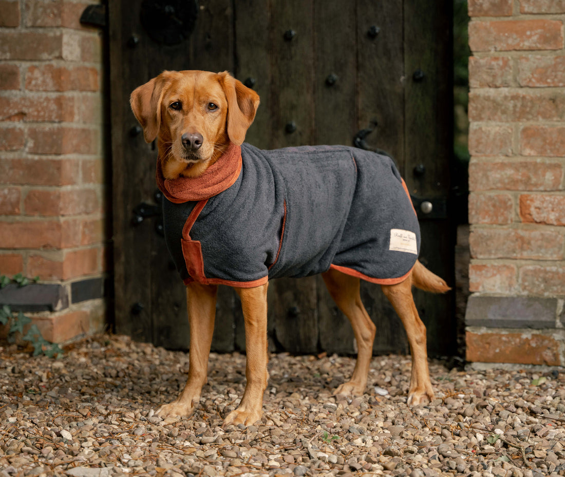 New Limited Edition Drying Coat for dogs! - Ruff and Tumble