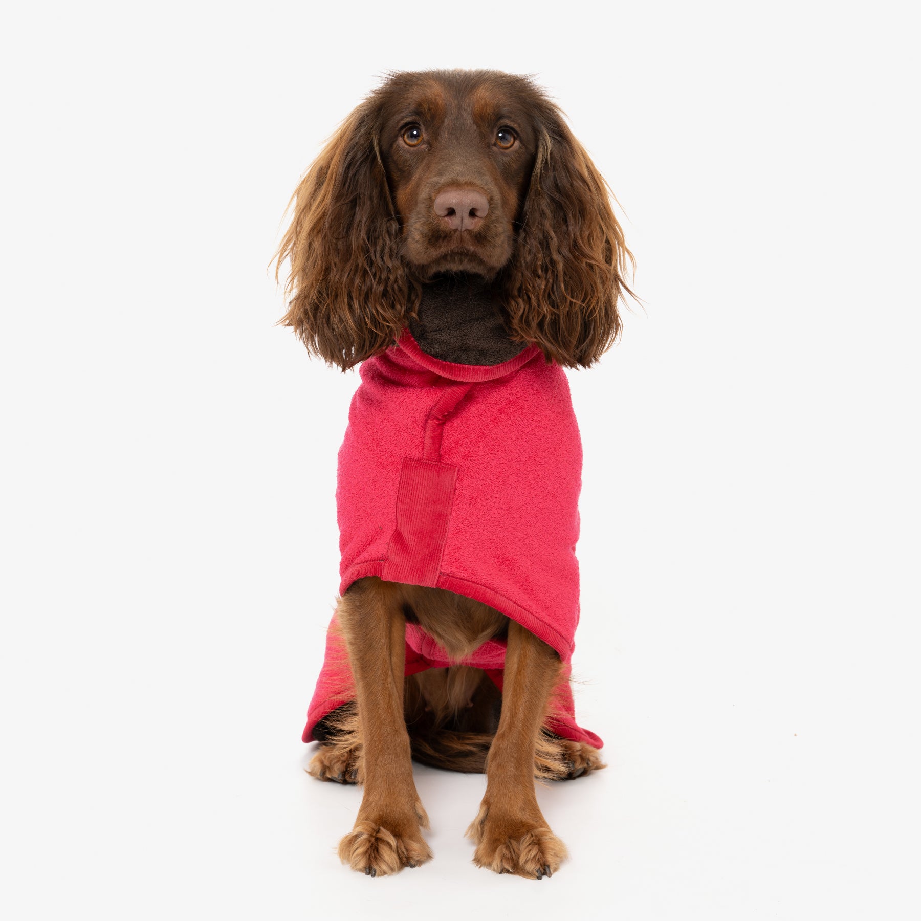 Limited Edition Dog Drying Coat - Raspberry and Dark Chocolate