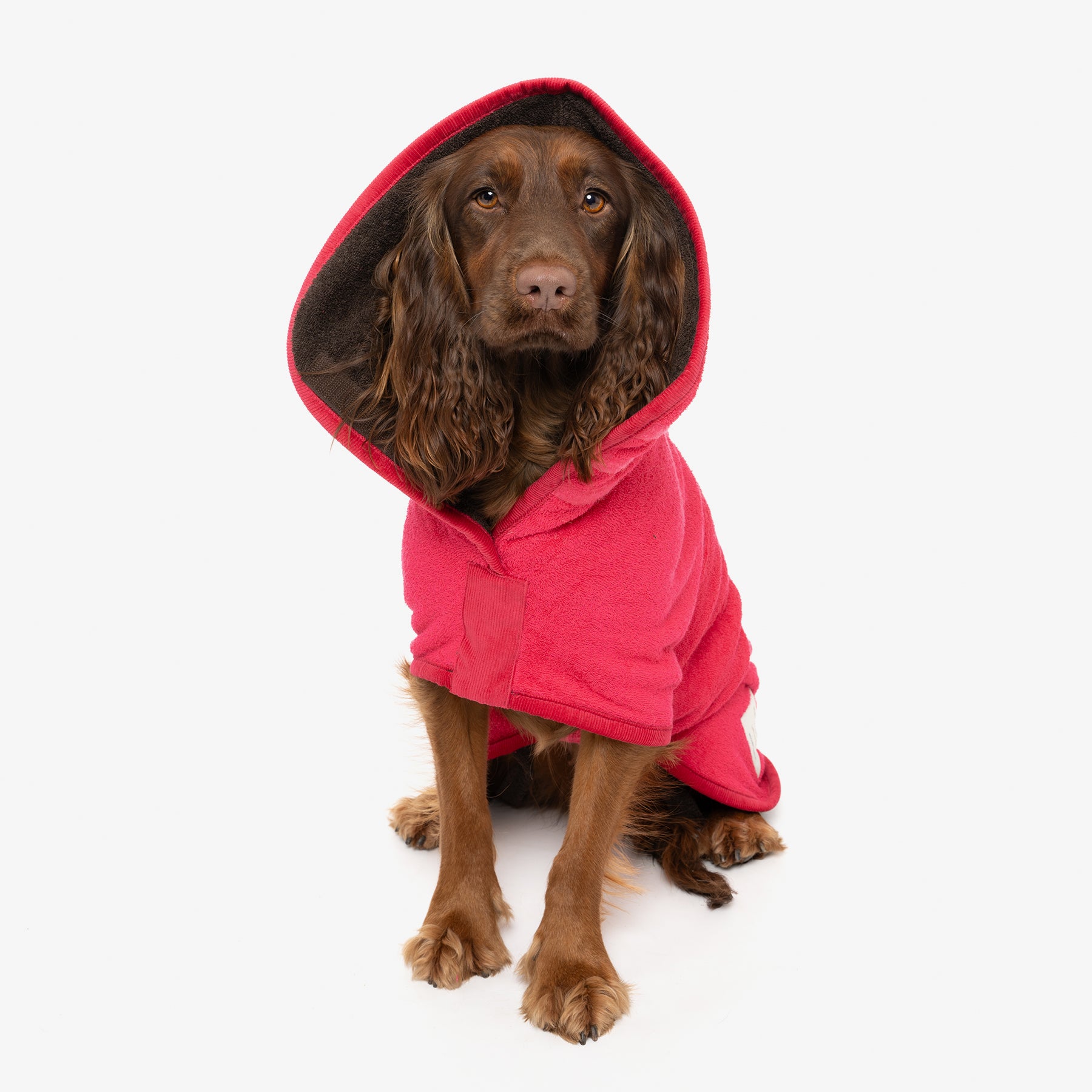 Limited Edition Dog Drying Coat - Raspberry and Dark Chocolate