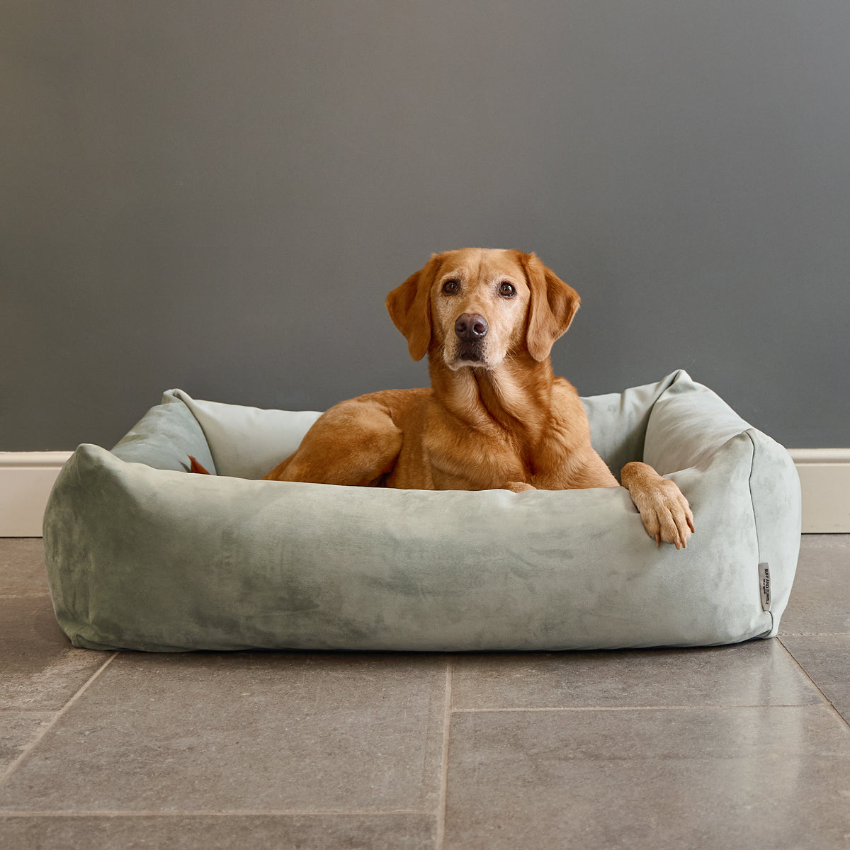 Velvet Burnham Bolster Dog Bed - Pistachio