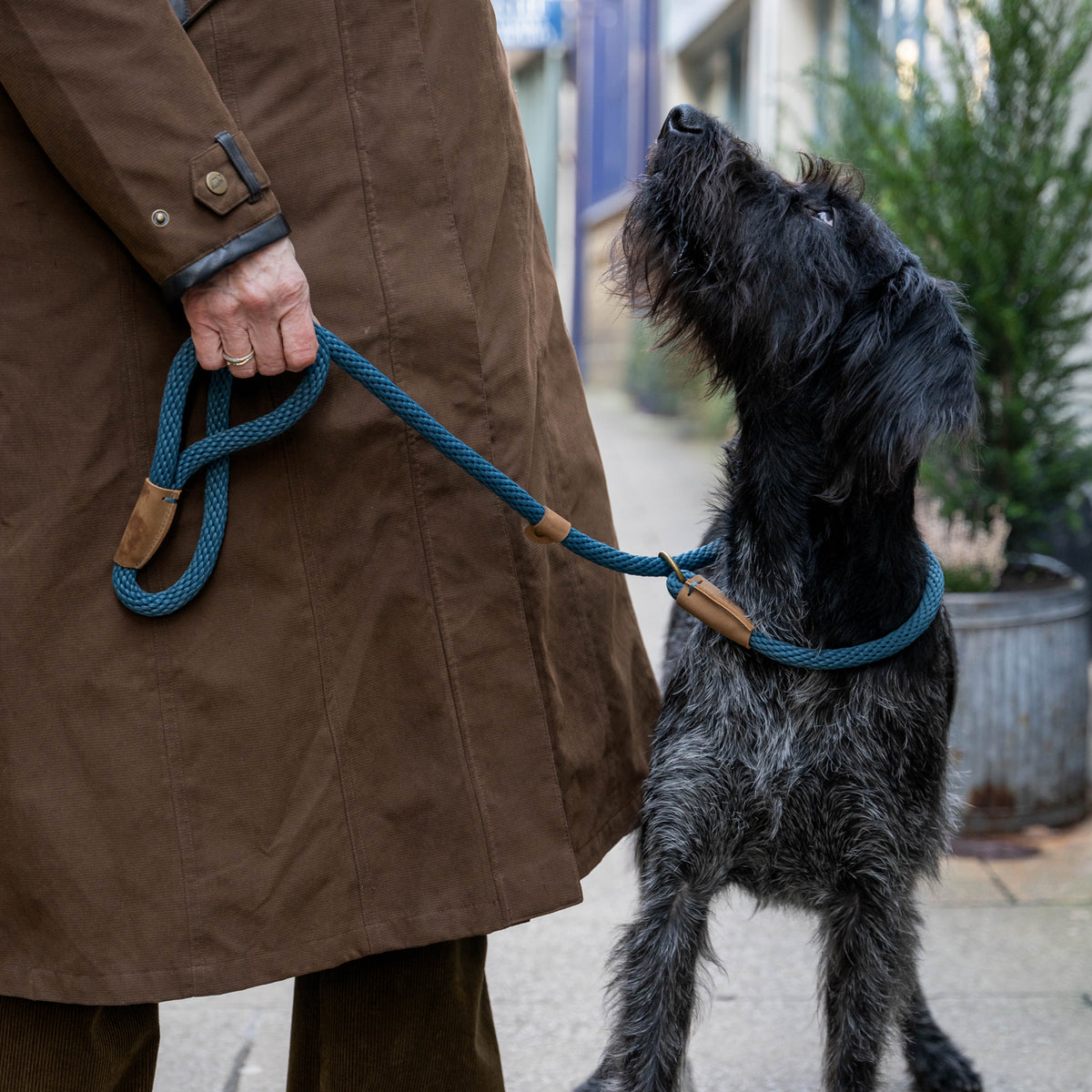 Dog Leads - Sandringham Blue