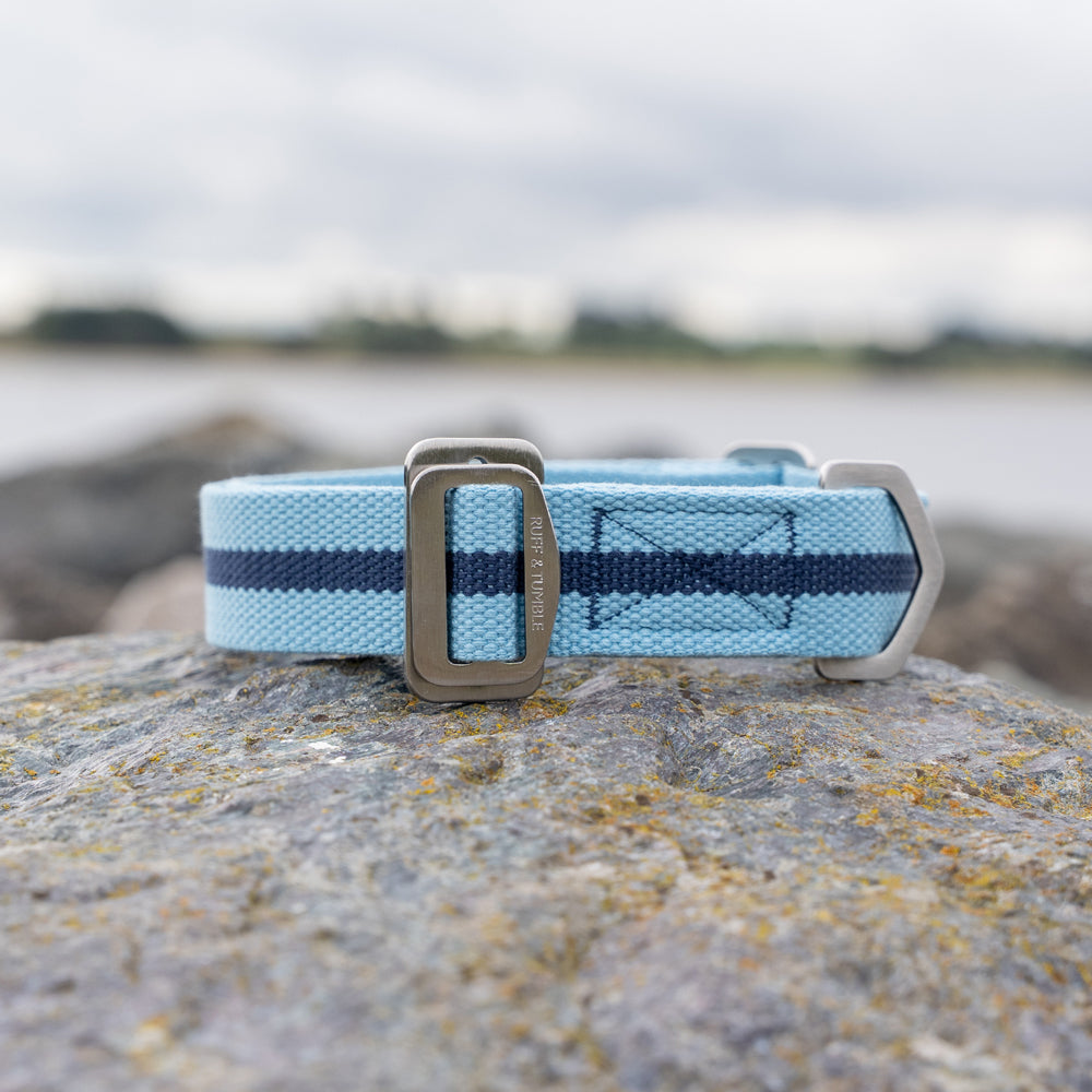 All-Terrain Canvas Collar - Sky Blue / Navy Ruff and Tumble 