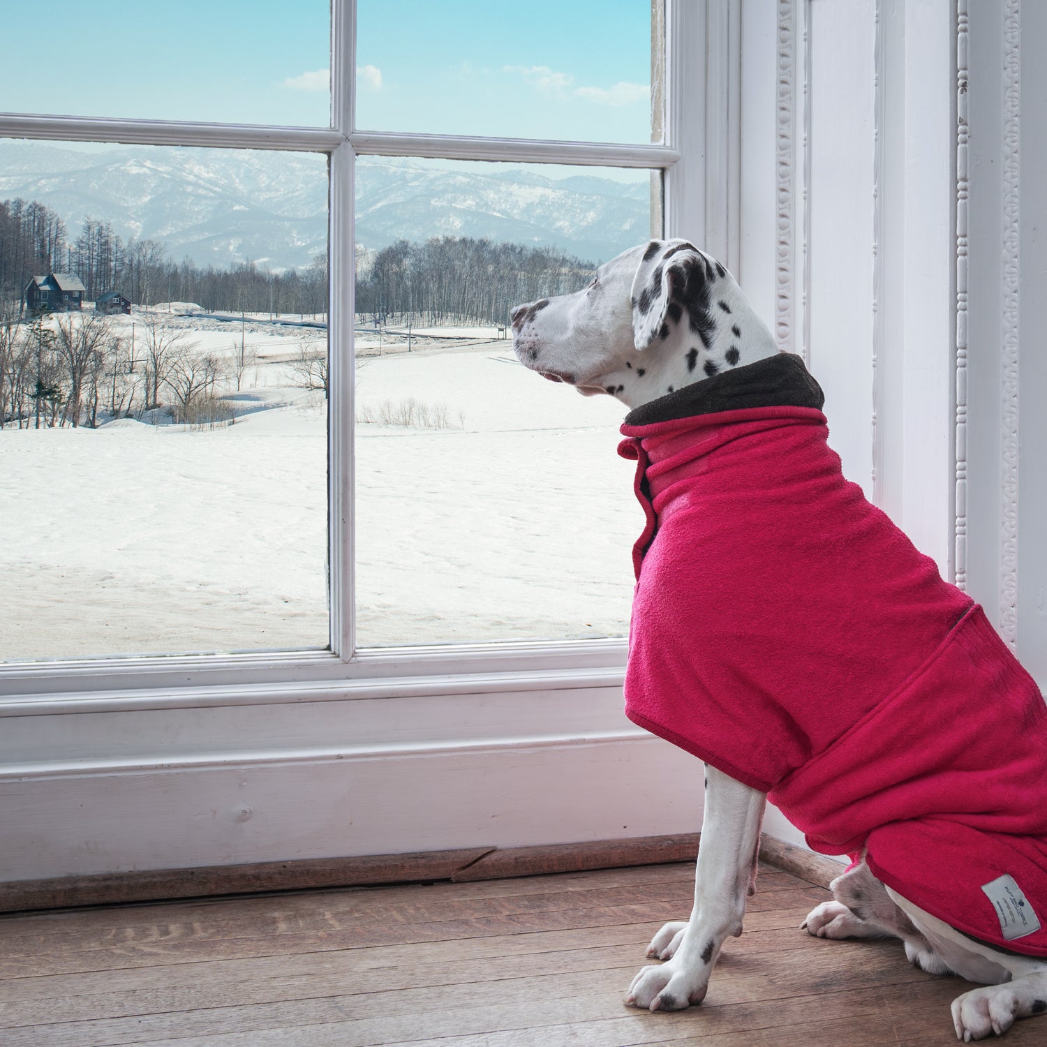 Limited Edition Dog Drying Coat - Raspberry and Dark Chocolate