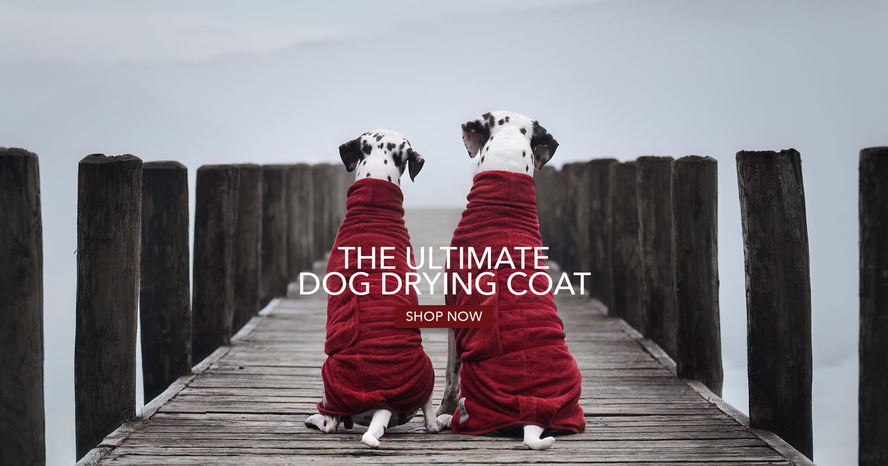 Dog Drying Coats Dog Bed Covers Plus More By Ruff Tumble dog-drying-coats-dog-bed-covers-plus-more-by-ruff-tumble