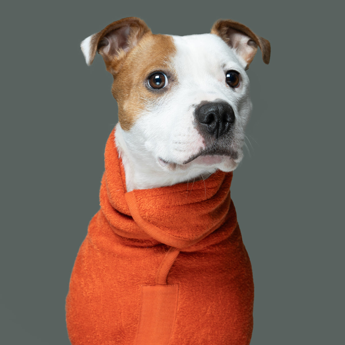 Limited Edition Dog Drying Coat - Tangerine