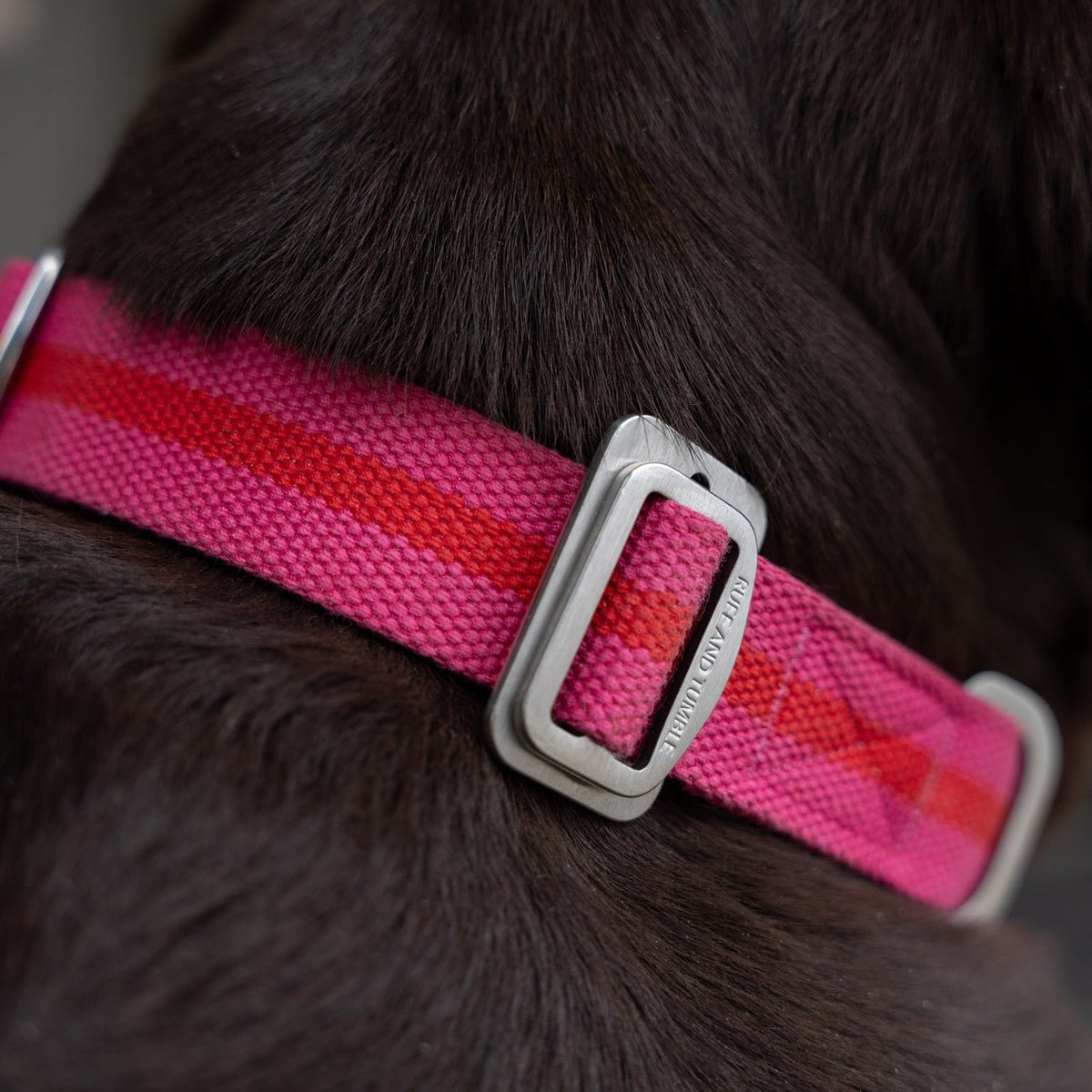 All - Terrain Canvas Collar - Fuchsia / Scarlett - Ruff and Tumble