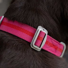 All - Terrain Canvas Collar - Fuchsia / Scarlett - Ruff and Tumble