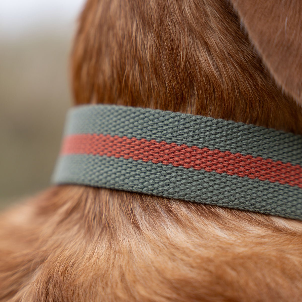 All - Terrain Canvas Collar - Khaki / Chestnut - Ruff and Tumble