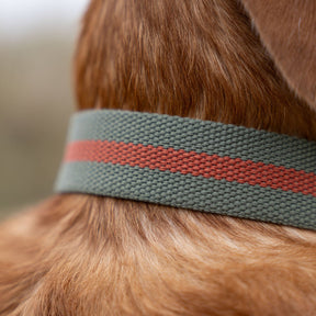 All - Terrain Canvas Collar - Khaki / Chestnut - Ruff and Tumble