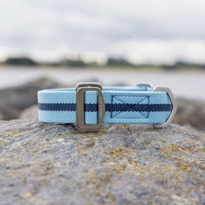 All-Terrain Canvas Collar - Sky Blue / Navy - Ruff and Tumble