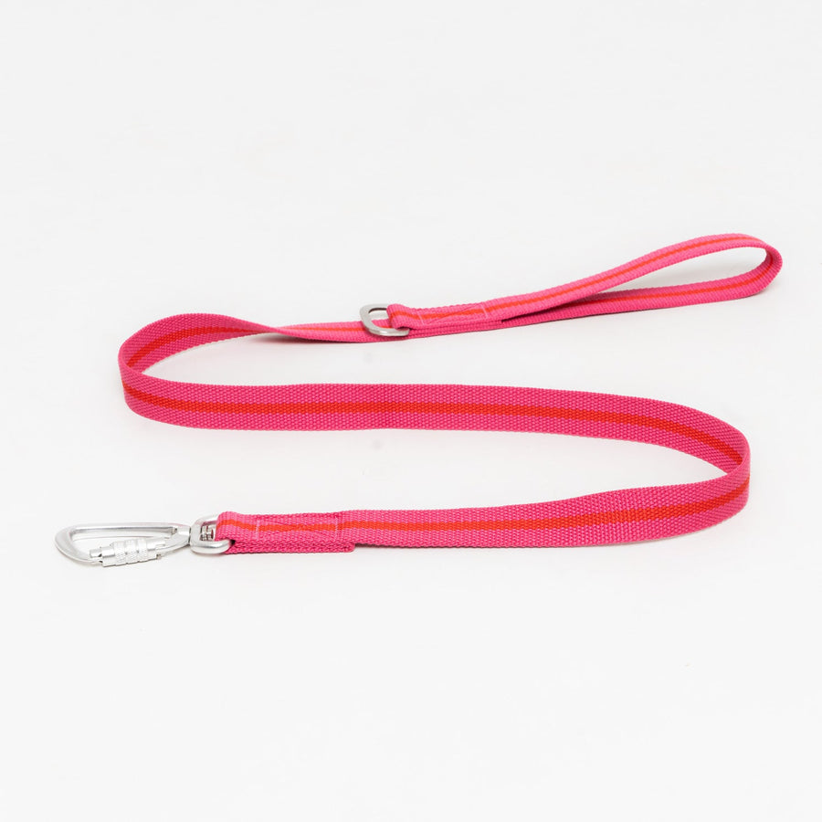 All - Terrain Canvas Lead - Fuchsia / Scarlett - Ruff and Tumble