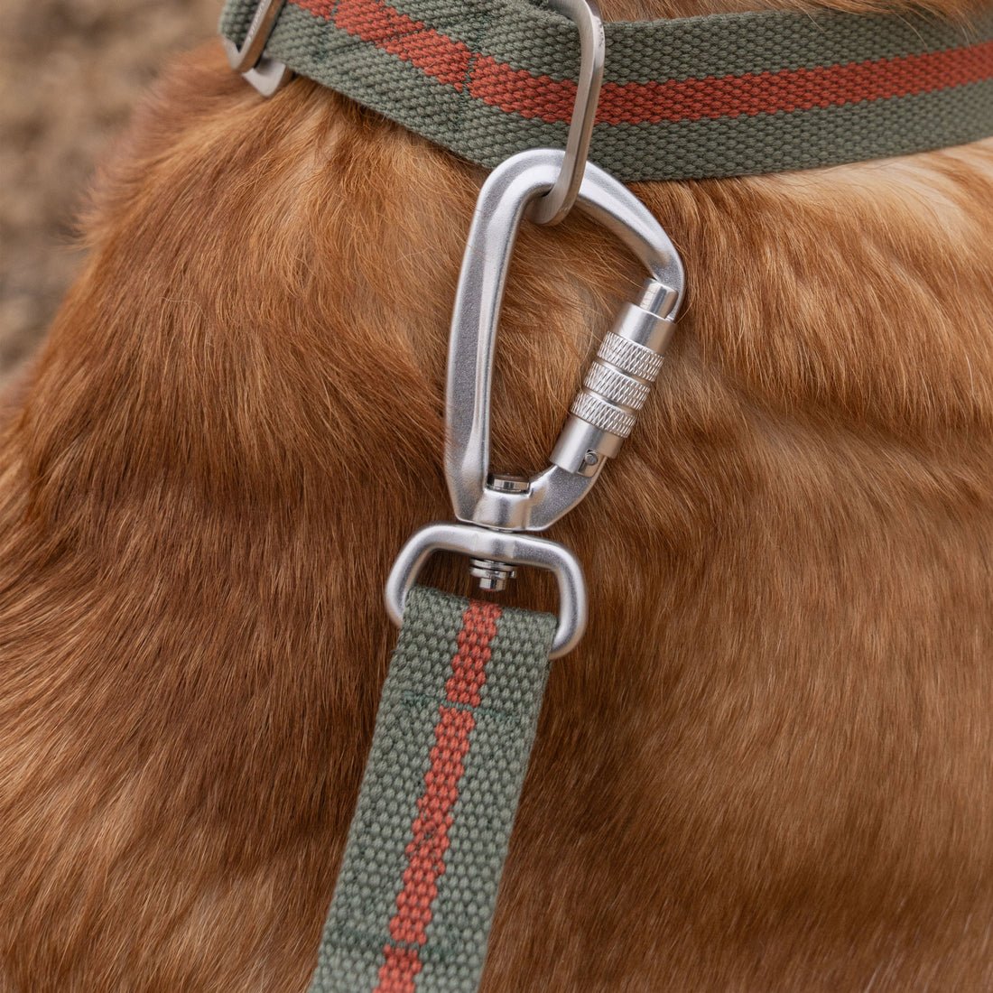 All - Terrain Canvas Lead - Khaki / Chestnut - Ruff and Tumble