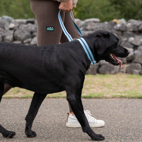 All-Terrain Canvas Lead - Sky Blue / Navy - Ruff and Tumble