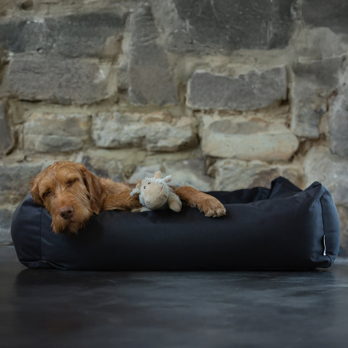 Waterproof Burnham Bolster Dog Bed - Black