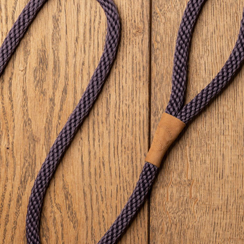 First Generation Dog Leads
