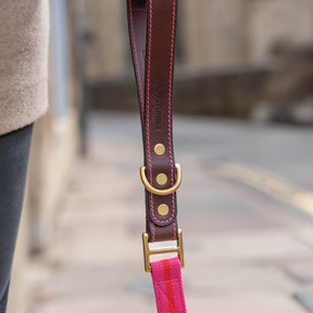 Blakeney Clip Lead - Ruff and Tumble