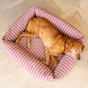 Burnham Bolster Striped Dog Bed - Dusky Rose & Ivory - Ruff and Tumble