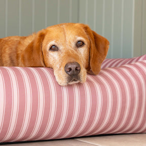 Burnham Bolster Striped Dog Bed - Dusky Rose & Ivory - Ruff and Tumble