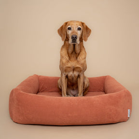 Burnham Bolster Towelling Bed Cover - Terracotta - Ruff and Tumble