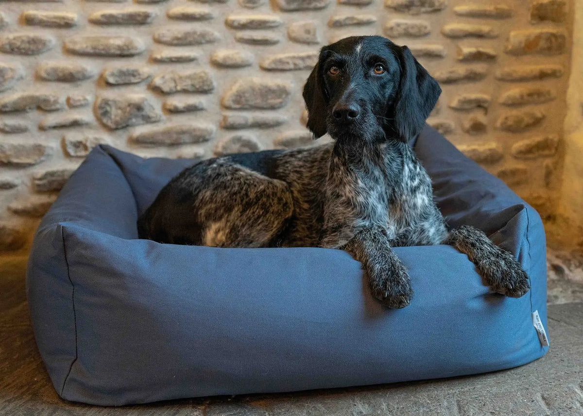 Canvas Burnham Bolster Dog Bed - Denim - Ruff and Tumble