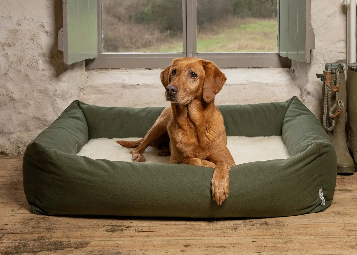 Canvas Burnham Bolster Dog Bed - Olive - Ruff and Tumble