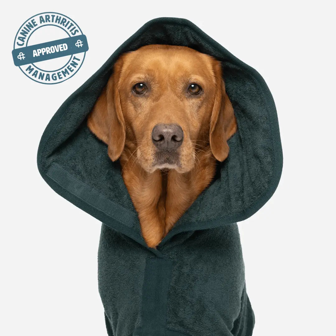 Classic Dog Drying Coat - Forest - Ruff and Tumble