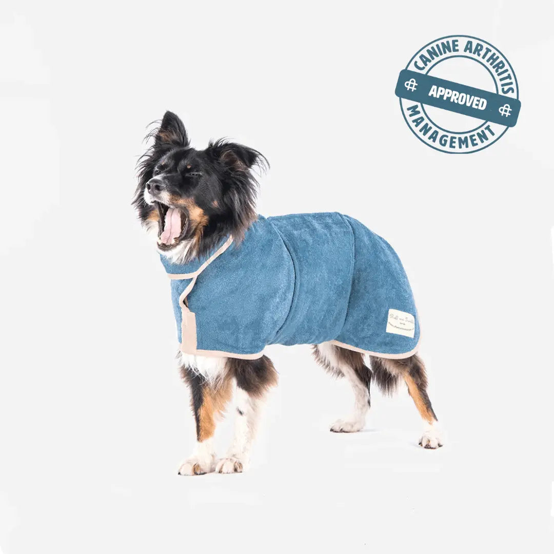 Classic Dog Drying Coat - Sandringham Blue - Ruff and Tumble
