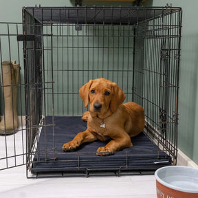 Crate Mat / Boot Bed - Black - Ruff and Tumble