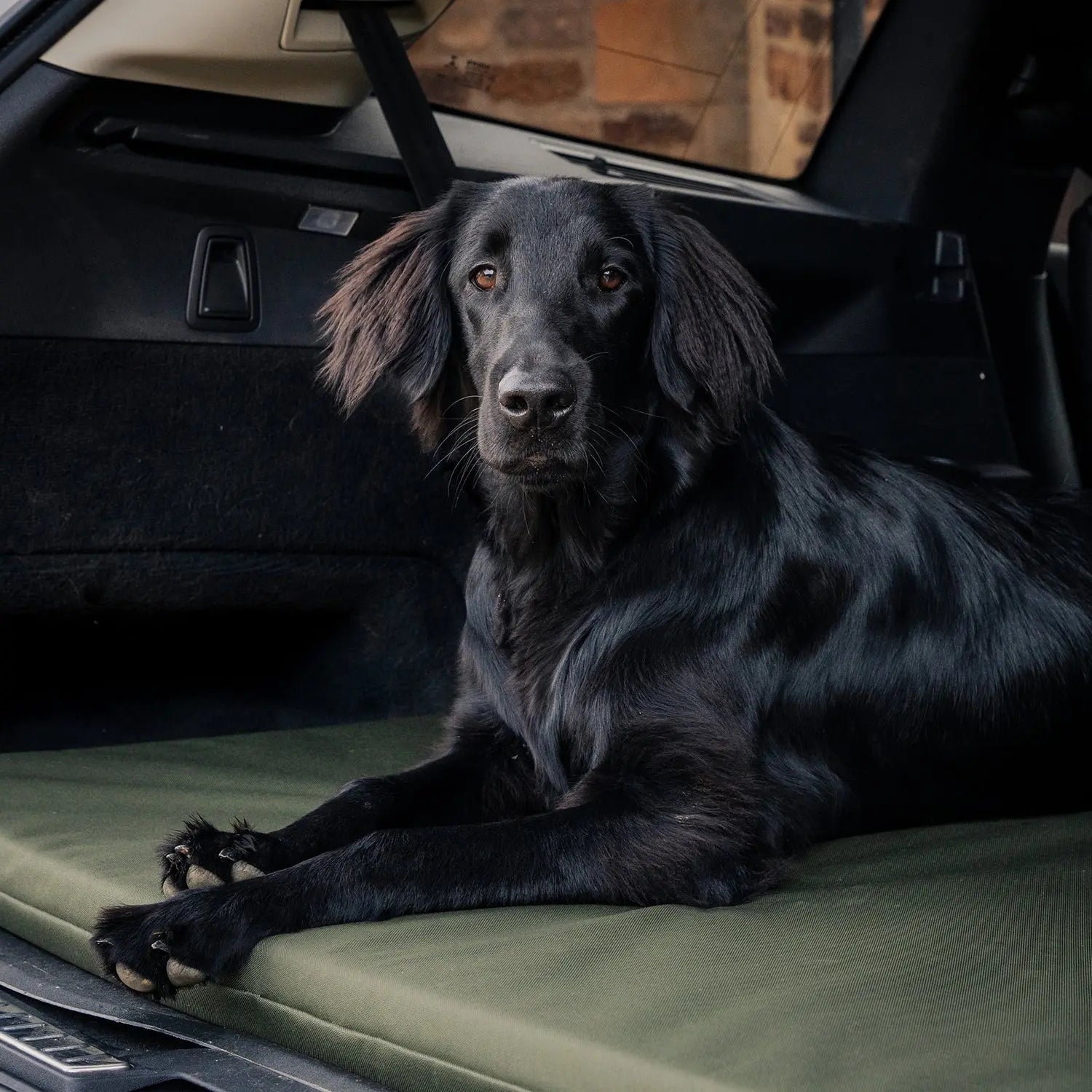 Crate Mat / Boot Bed - Olive - Ruff and Tumble