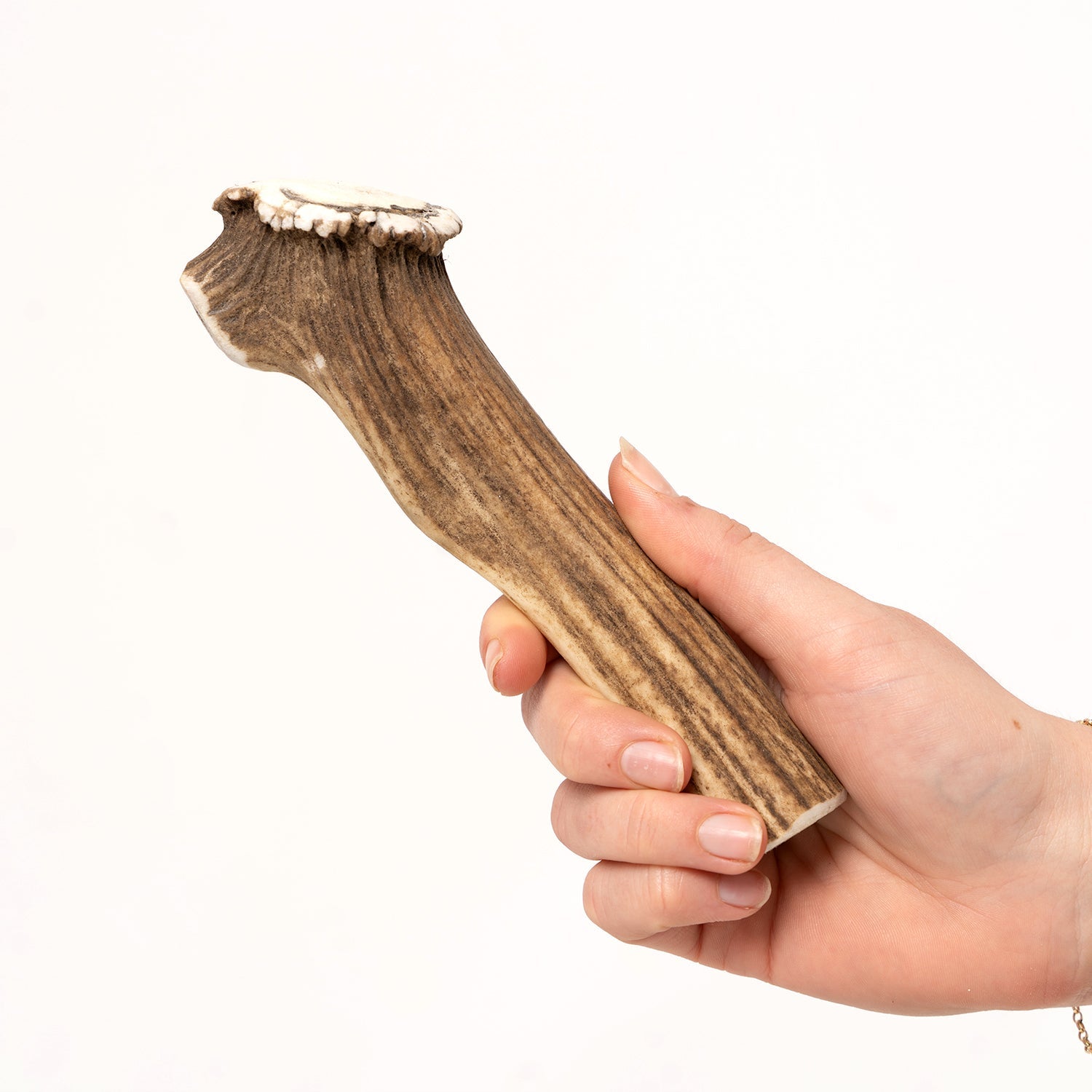 Deer Antler Chews - Ruff and Tumble